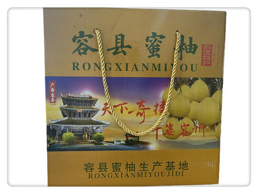 容县柚子（4个装） 商品图0