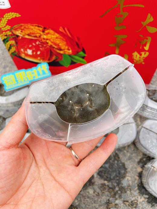 查干湖大闸蟹礼盒(红） 商品图2