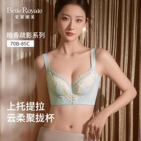 皇家丽美女士文胸 暗香疏影系列 7A 抗菌上托提拉聚拢收副乳内衣WJ2510-2
