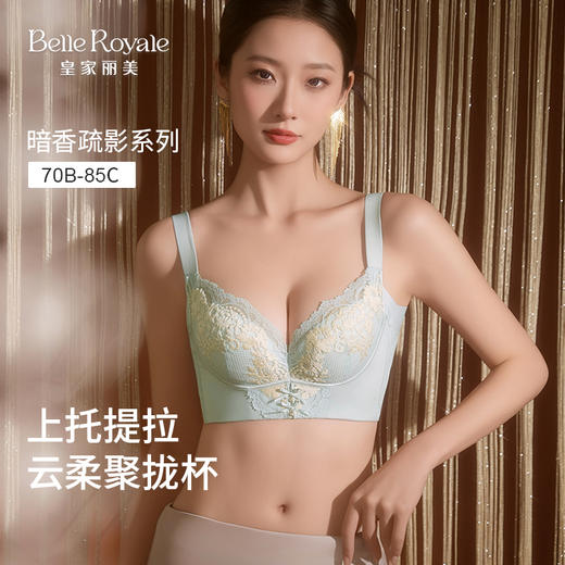 皇家丽美女士文胸 暗香疏影系列 7A 抗菌上托提拉聚拢收副乳内衣WJ2510-2 商品图0