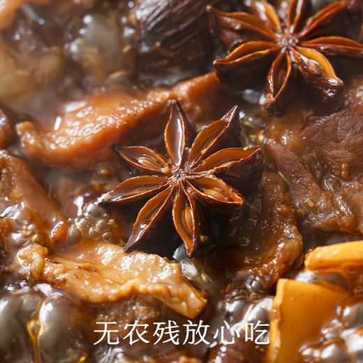 南食召 本香八角 商品图4