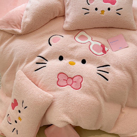 【换季出清】自然醒大版羊羔绒毛巾绣四件套QJ 商品图4