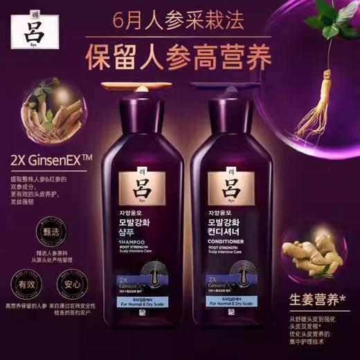吕滋养韧发密集莹韧护发乳(油性头皮)
400ml（紫吕） 商品图3