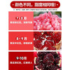 荆裕优选中秋送礼佳品四川会理软籽石榴礼盒8个装（约7.5-8.5斤左右) 商品缩略图4
