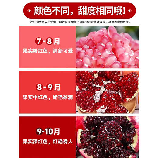 荆裕优选中秋送礼佳品四川会理软籽石榴礼盒8个装（约7.5-8.5斤左右) 商品图4