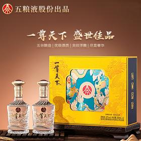五粮液 52度 一尊天下礼盒 浓香型白酒 500ml*2瓶