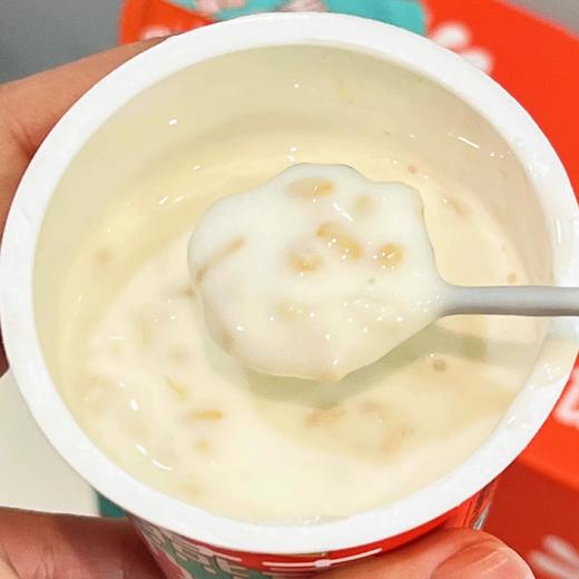 瑞缘 零蔗糖新疆冰燕麦酸奶  120g*10/提 商品图2