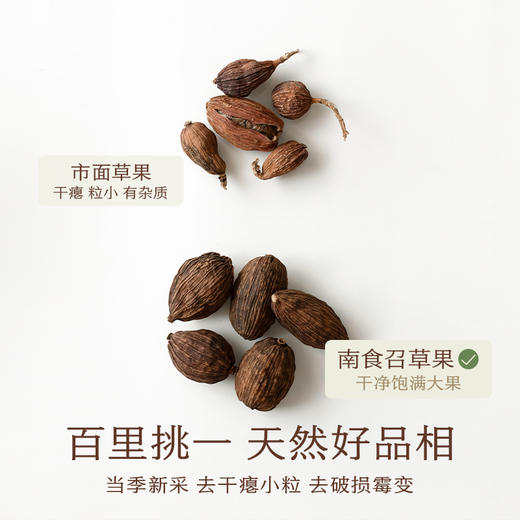 南食召 本香草果 当季新果 优中选优 无硫熏云南香料炖肉煲汤35g 商品图1