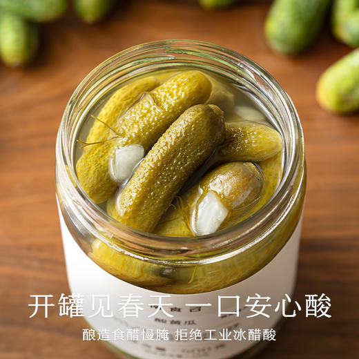 南食召 酸黄瓜 商品图1