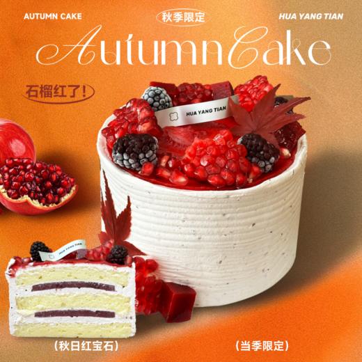 红宝石 · 石榴蔓越莓蛋糕 商品图0