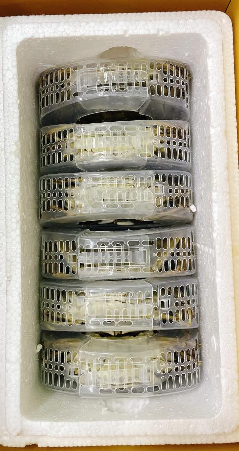 查干湖高端大闸蟹礼盒（棕） 商品图1