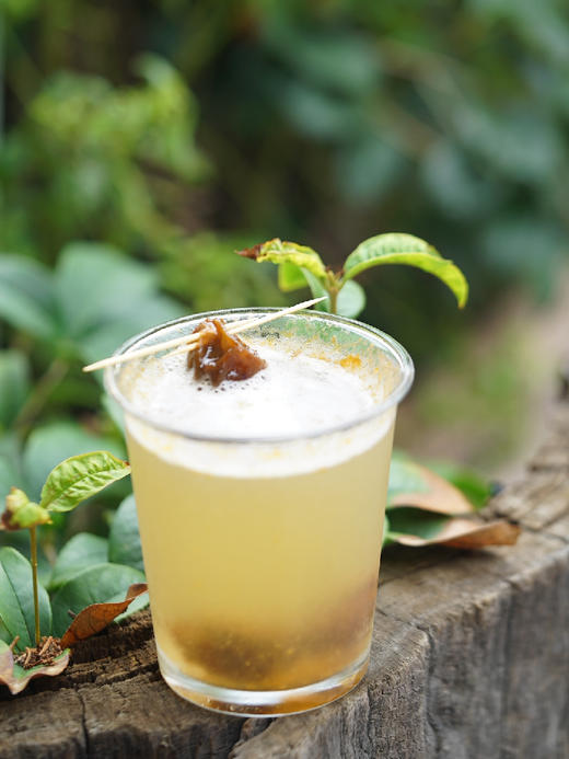 青梅蜜饯 古法酿造自然清甜 只有青梅和蜂蜜的纯粹 商品图4