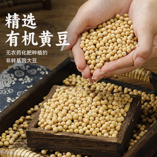 豆麟翅纯素蛋白礼盒（内含2盒，单盒300g，共600g） 商品图4