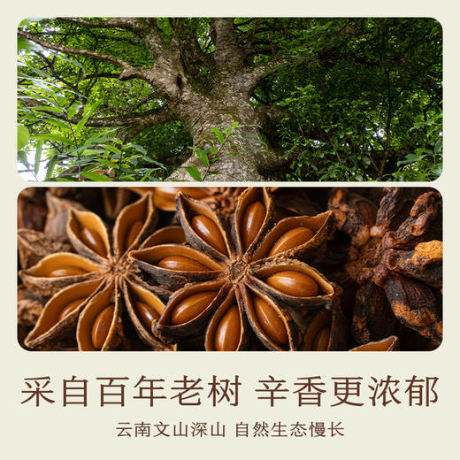 南食召 本香八角 商品图1