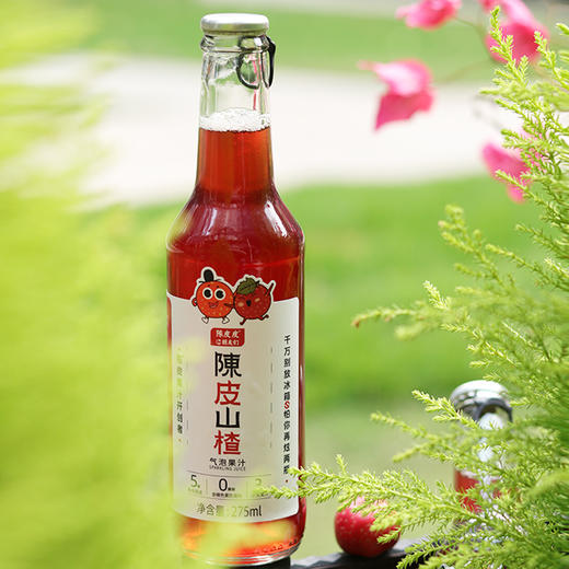 陈皮皮和朋友们陈皮山楂气泡果汁275ml/瓶 商品图3