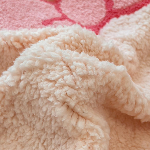 【换季出清】自然醒大版羊羔绒毛巾绣四件套QJ 商品图12