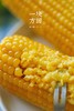一块方田·甜糯玉米 商品缩略图2