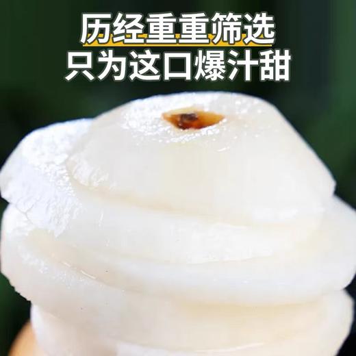 山西头茬秋月梨5斤大果/果王 商品图1