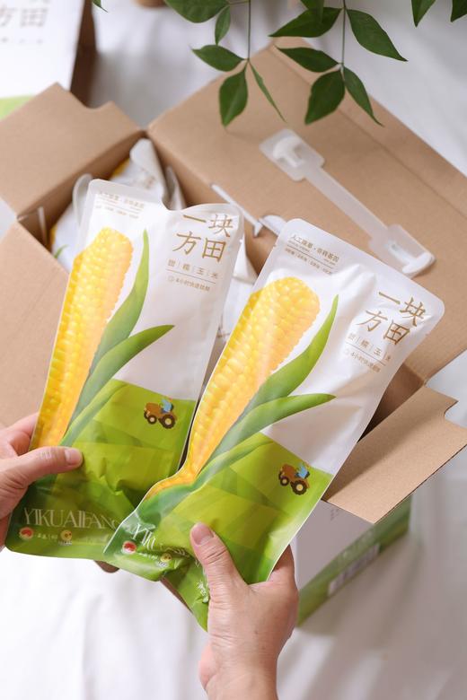 一块方田·甜糯玉米 商品图6