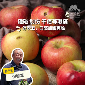 有机沙漠苹果瑕疵果（不售后）| 合作生产 * Organic Desert Apple Defective Fruit | Partner Production