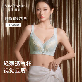 皇家丽美暗香疏影系列文胸 大胸显小侧收副乳 轻薄透气抗菌内衣WJ2510-1