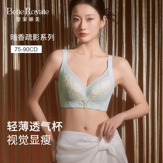 皇家丽美暗香疏影系列文胸 大胸显小侧收副乳 轻薄透气抗菌内衣WJ2510-1 商品图0
