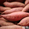 板栗红薯｜海南 商品缩略图3