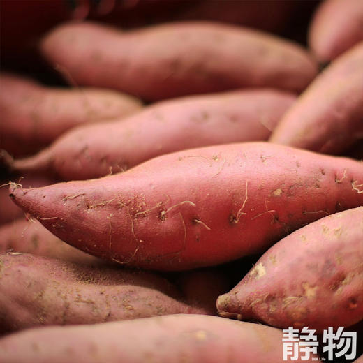 板栗红薯｜海南 商品图3