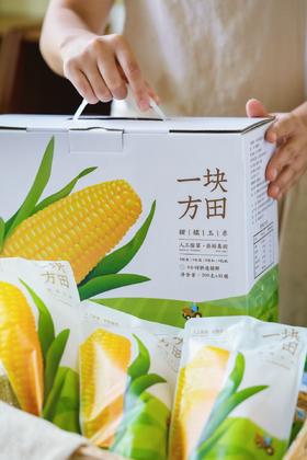 一块方田·甜糯玉米