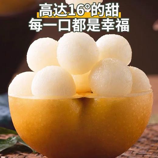 山西头茬秋月梨5斤大果/果王 商品图0