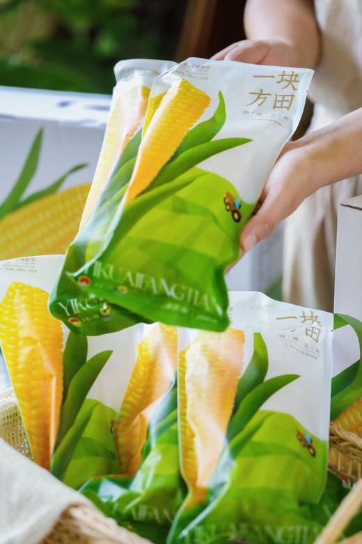 一块方田·甜糯玉米 商品图1