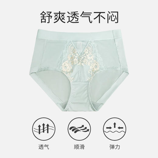 皇家丽美女士底裤 暗香疏影系列舒爽透气中腰平角裤 蕾丝美学洁净亲肤内裤K2510-K1 商品图1