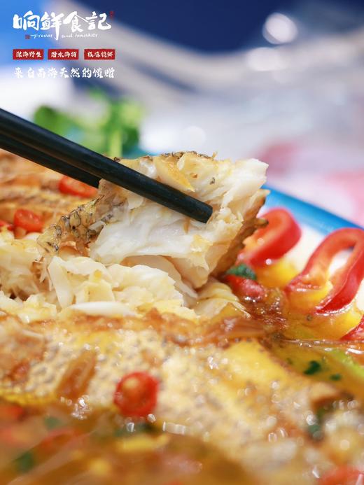 南海野生海鱼 商品图7