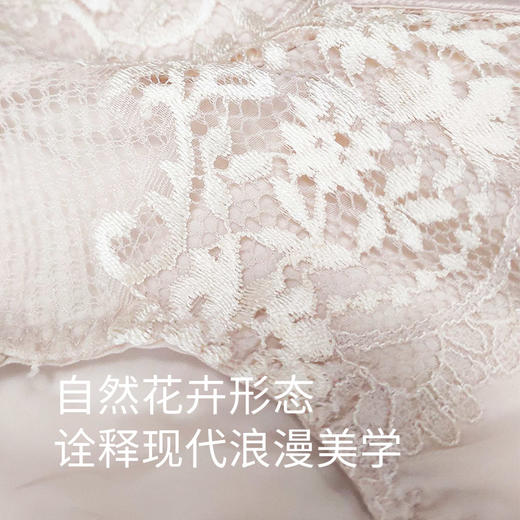 皇家丽美女士底裤 暗香疏影系列舒爽透气中腰平角裤 蕾丝美学洁净亲肤内裤K2510-K1 商品图4