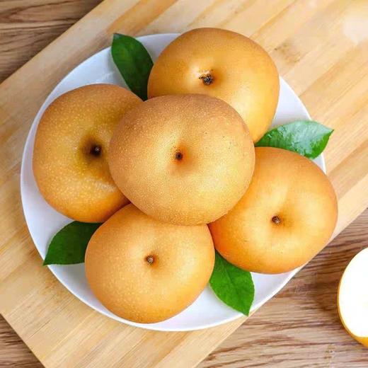 山西头茬秋月梨5斤大果/果王 商品图3