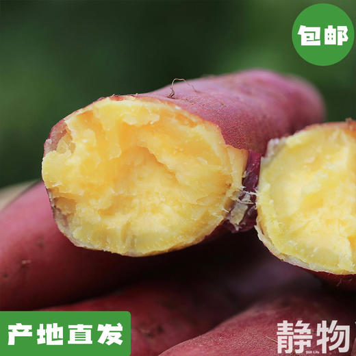 海南板栗红薯  香甜软糯 4.8斤装【Y】 商品图0