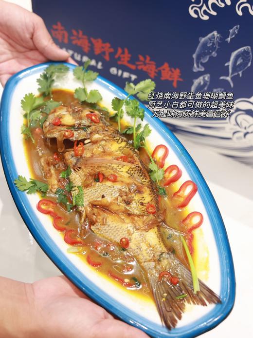 南海野生海鱼 商品图3