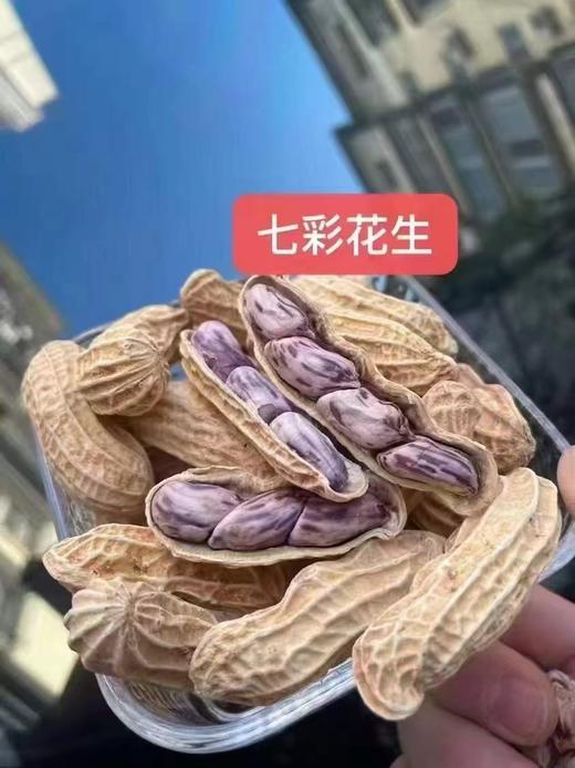 七彩花生 商品图2