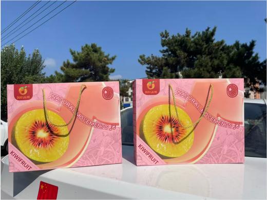 红心猕猴桃礼盒 商品图1