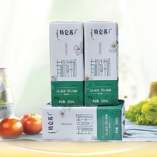 特仑苏有机纯牛奶一箱 商品图1
