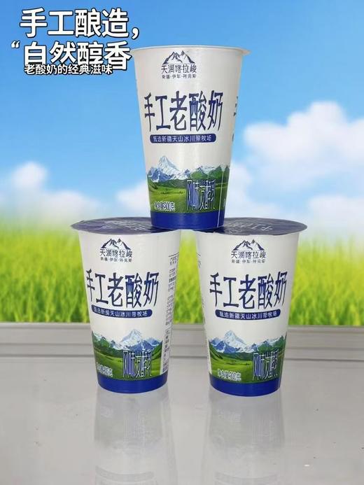 新疆天润喀拉峻手工酸奶300g大杯装 0蔗糖 厂家直供新疆直发 商品图4