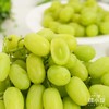 梦境香妃青提 新疆葡萄 脆甜多汁 澳洲品种×新疆种植 商品缩略图1