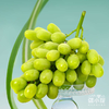 梦境香妃青提 新疆葡萄 脆甜多汁 澳洲品种×新疆种植 商品缩略图3