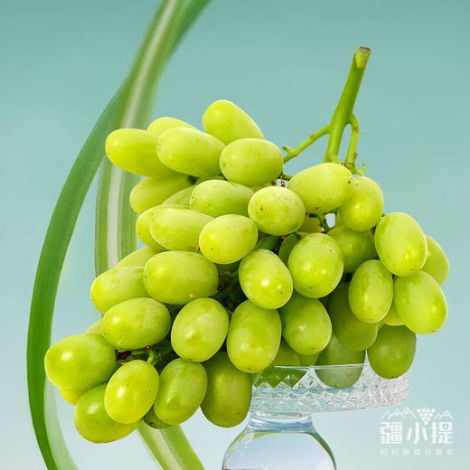 梦境香妃青提 新疆葡萄 脆甜多汁 澳洲品种×新疆种植 商品图3