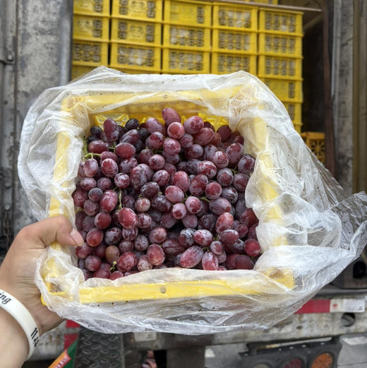 21.8元一件新疆无籽红提净重约3斤左右 商品图0