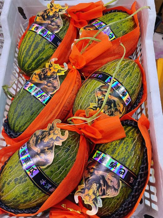 巴西蜜瓜一个 商品图0