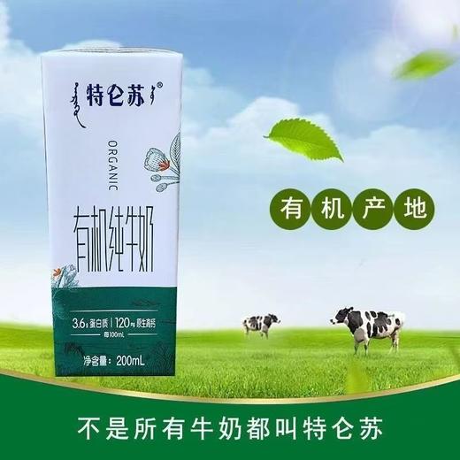 特仑苏有机纯牛奶一箱 商品图2