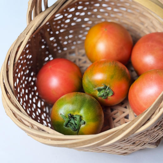 有机绿肩草莓西红柿  发货时间7天 商品图2