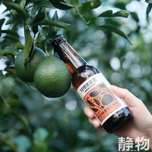 阿柑康普茶230ml｜丑美阿柑 商品图1
