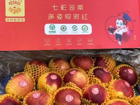 云南邵阳红苹果（5个装）